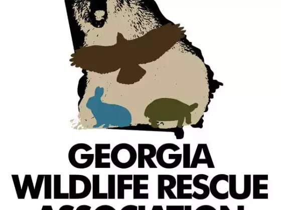 Georgia Wildlife Rescue Association  - Education, Other, Nonprofit Learning, Global Issues, Sustainability 