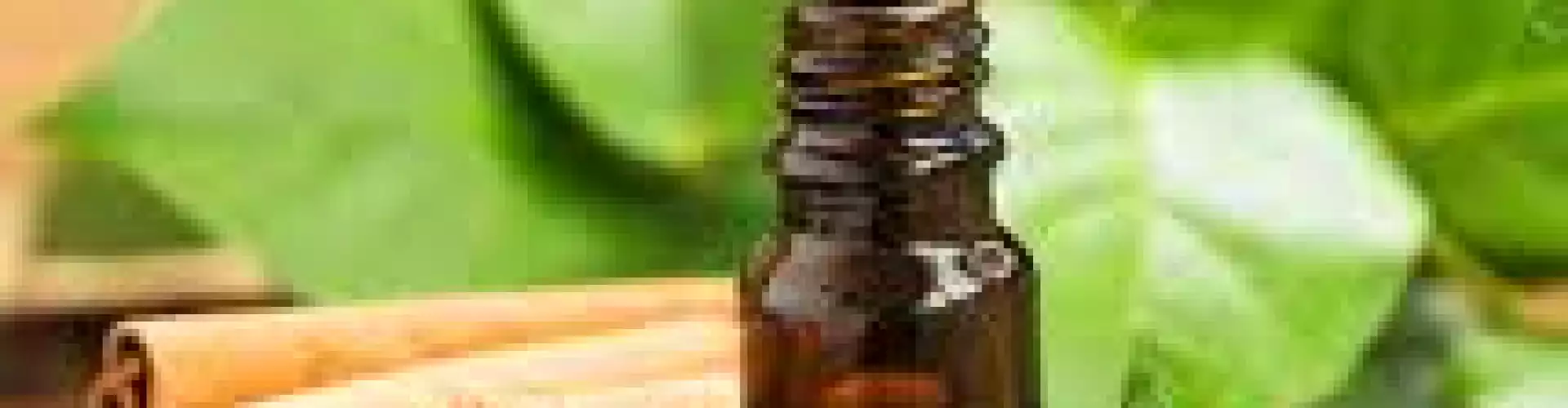 Cinnamon Essential Oil - Online Class by Dr. Kathleen B. Oden