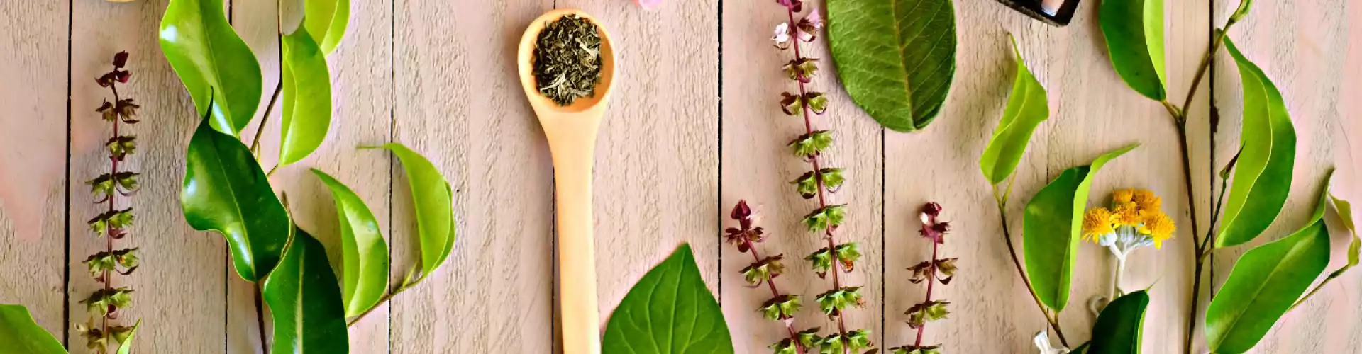 Mga Pangunahing Kaalaman sa Ayurvedic Herbalism - Online Class by Stephanie Brail