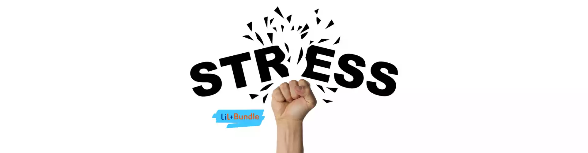 Bundle: Paket Manajemen Stres - Online Course by Learn It Live